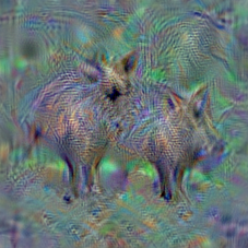n02396427